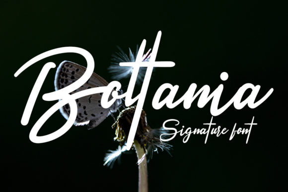 Discover Boltania: The Perfect Script Handwritten Font