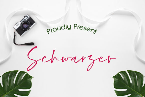 Enhance Your Designs with Schwarzer Font