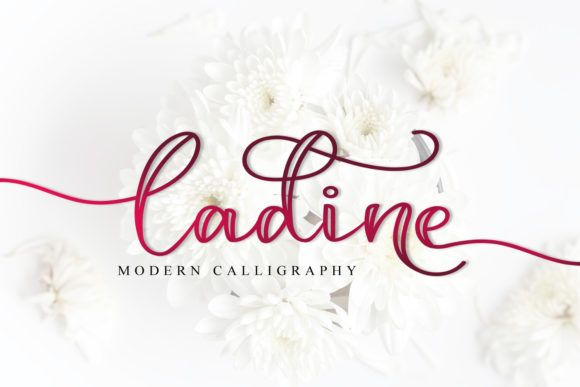 Ladine Font: A Personal Review from a Brand Designer