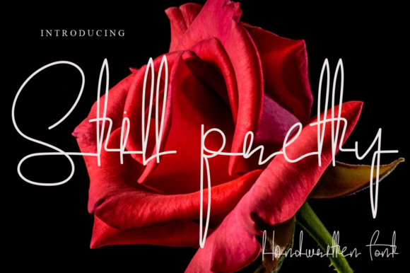 The Still Pretty Font for Elegant Brand Identity Projects